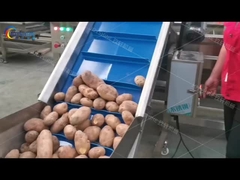 Dòng sản xuất khoai tây chiên cắt mới