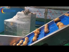 Dòng sản xuất khoai tây chiên